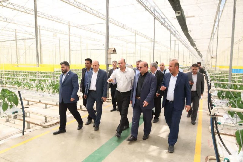 تبریز اول | پایگاه اطلاع رسانی تبریز اول | بزرگترین گلخانه مدرن خاورمیانه در آذربایجان شرقی قرار دارد توسعه گلخانه‌ها؛ گامی راهبردی برای آینده کشاورزی آذربایجان شرقی